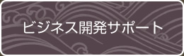 ビジネス開発サポート